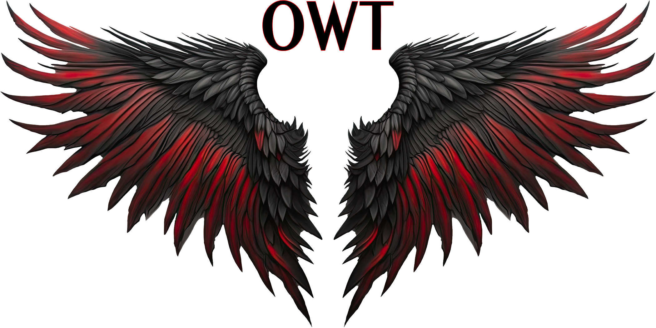 One Wing Theory Wing